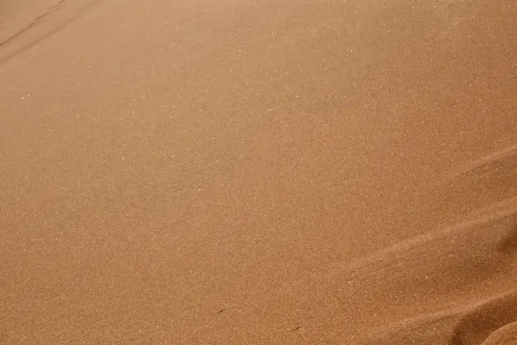 كازينو بينجو مليونير الدعم